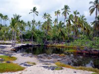 2017063565 Puuhonua o Honaunau National Historical Park - Kona - Big Island - Hawaii - Jun 14