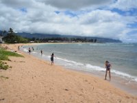 2017062637 Snorkeling with the Turtles on the Noth Shore - June 09