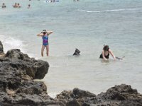 2017062645 Snorkeling with the Turtles on the Noth Shore - June 09