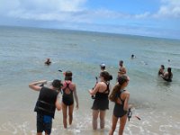 2017062663 Snorkeling with the Turtles on the Noth Shore - June 09