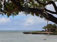 2017062677 Snorkeling with the Turtles on the Noth Shore - June 09