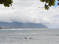 2017062679 Snorkeling with the Turtles on the Noth Shore - June 09