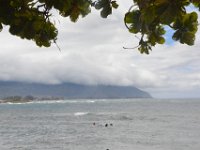 2017062680 Snorkeling with the Turtles on the Noth Shore - June 09