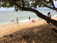 2017062684 Snorkeling with the Turtles on the Noth Shore - June 09