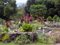 2017063457 Star of the Sea Painted Church in Kalapana - Big Island - Hawaii - Jun 14