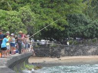 2017062940 Sunday Swap Meet - Kona - Hawaii - Jun 11