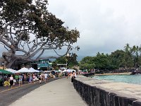 2017063003 Sunday Swap Meet - Kona - Hawaii - Jun 11