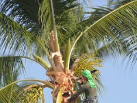 2017063428 Swimming at Outrigger Royal Sea Cliff Hotel - Kona - Big Island - Hawaii- Jun 14