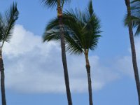 2017063443 Swimming at Outrigger Royal Sea Cliff Hotel - Kona - Big Island - Hawaii- Jun 14