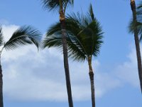 2017063444 Swimming at Outrigger Royal Sea Cliff Hotel - Kona - Big Island - Hawaii- Jun 14