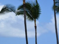 2017063445 Swimming at Outrigger Royal Sea Cliff Hotel - Kona - Big Island - Hawaii- Jun 14