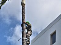 2017063447 Swimming at Outrigger Royal Sea Cliff Hotel - Kona - Big Island - Hawaii- Jun 14