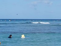 2017061485 Swimming on Waikiki Beach - Honolulu - Hawaii - Jun 05