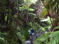 2017063061 Volcanoes National Park - Big Island - Hawaii - Jun 12