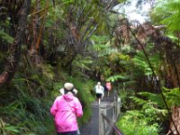 2017063063 Volcanoes National Park - Big Island - Hawaii - Jun 12