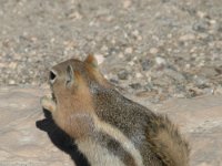 2007062114 Bryce Canyon National Park - Utah