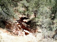 2007061821 Zion National Monument - Idaho