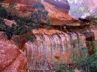 2007063017 Zion National Park - Idaho