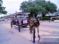 2016061286 French Quarter - New Orleans, LA (June 13)