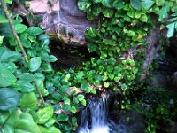 2016061359 Audubon Aquarium - New Orleans, LA (June 13)