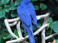 2016061361 Audubon Aquarium - New Orleans, LA (June 13)