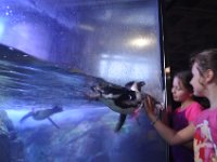 2016061368 Audubon Aquarium - New Orleans, LA (June 13)