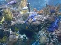 2016061400 Audubon Aquarium - New Orleans, LA (June 13)