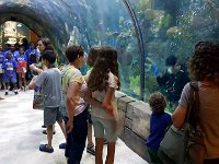 2016061402 Audubon Aquarium - New Orleans, LA (June 13)
