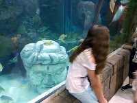 2016061404 Audubon Aquarium - New Orleans, LA (June 13)