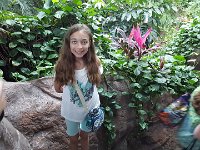 2016061432 Audubon Aquarium - New Orleans, LA (June 13)