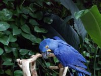 2016061438 Audubon Aquarium - New Orleans, LA (June 13)