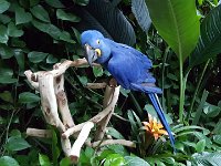 2016061443 Audubon Aquarium - New Orleans, LA (June 13)