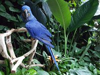 2016061445 Audubon Aquarium - New Orleans, LA (June 13)