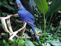 2016061447 Audubon Aquarium - New Orleans, LA (June 13)