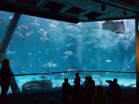 2016061487 Audubon Aquarium - New Orleans, LA (June 13)