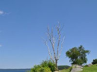 2012070798 Bar Harbor - Maine - Jul 03