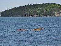 2012070807 Bar Harbor - Maine - Jul 03