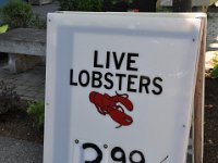 2012070833 Bar Harbor - Maine - Jul 03