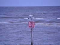 2016061695 Biloxi Beach, Biloxi, MS (June 14)