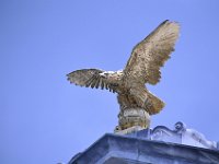 2016062108 Vicksburg National Military Park, Vicksburg, MS (June 17)