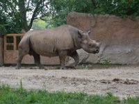 2017086235 St. Louis Zoo - St. Louis MO - Aug 21