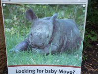 2017086240 St. Louis Zoo - St. Louis MO - Aug 21