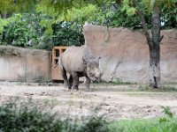 2017086252 St. Louis Zoo - St. Louis MO - Aug 21