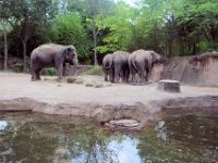 2017086273 St. Louis Zoo - St. Louis MO - Aug 21