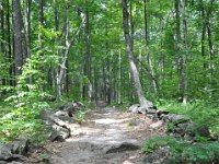 2012068505  Americas Stoinehenge - New Salem NH - Jun 17