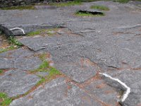 2012068520  Americas Stoinehenge - New Salem NH - Jun 17