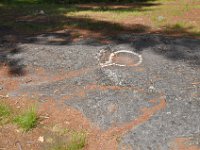 2012068539  Americas Stoinehenge - New Salem NH - Jun 17