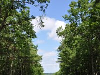 2012068544  Americas Stoinehenge - New Salem NH - Jun 17