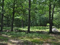 2012068546  Americas Stoinehenge - New Salem NH - Jun 17