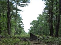 2012068550  Americas Stoinehenge - New Salem NH - Jun 17